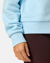 Gym+Coffee Clubhouse Quarter Zip (Ladies) - Baby Blue