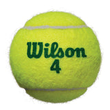 Wilson Starter Play Green - 4 Ball Tube